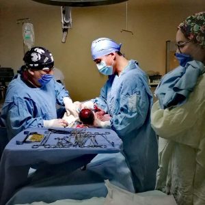 Imagen de WhatsApp 2024-08-21 a las 11.45.23_435b3307